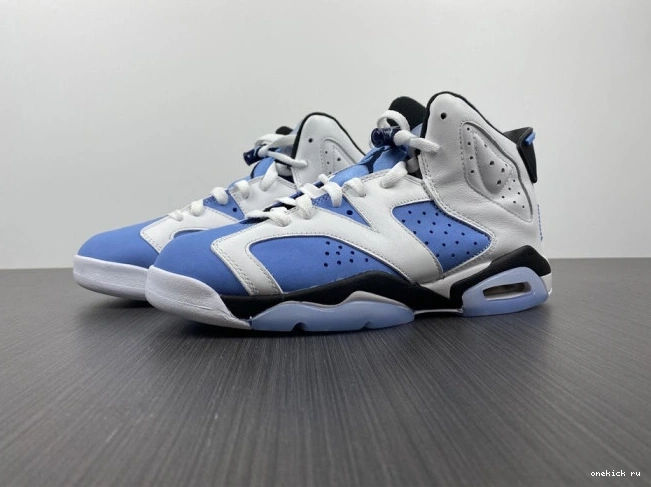 Onekick UNC 6 CT8529-410 Air Jordan 0610